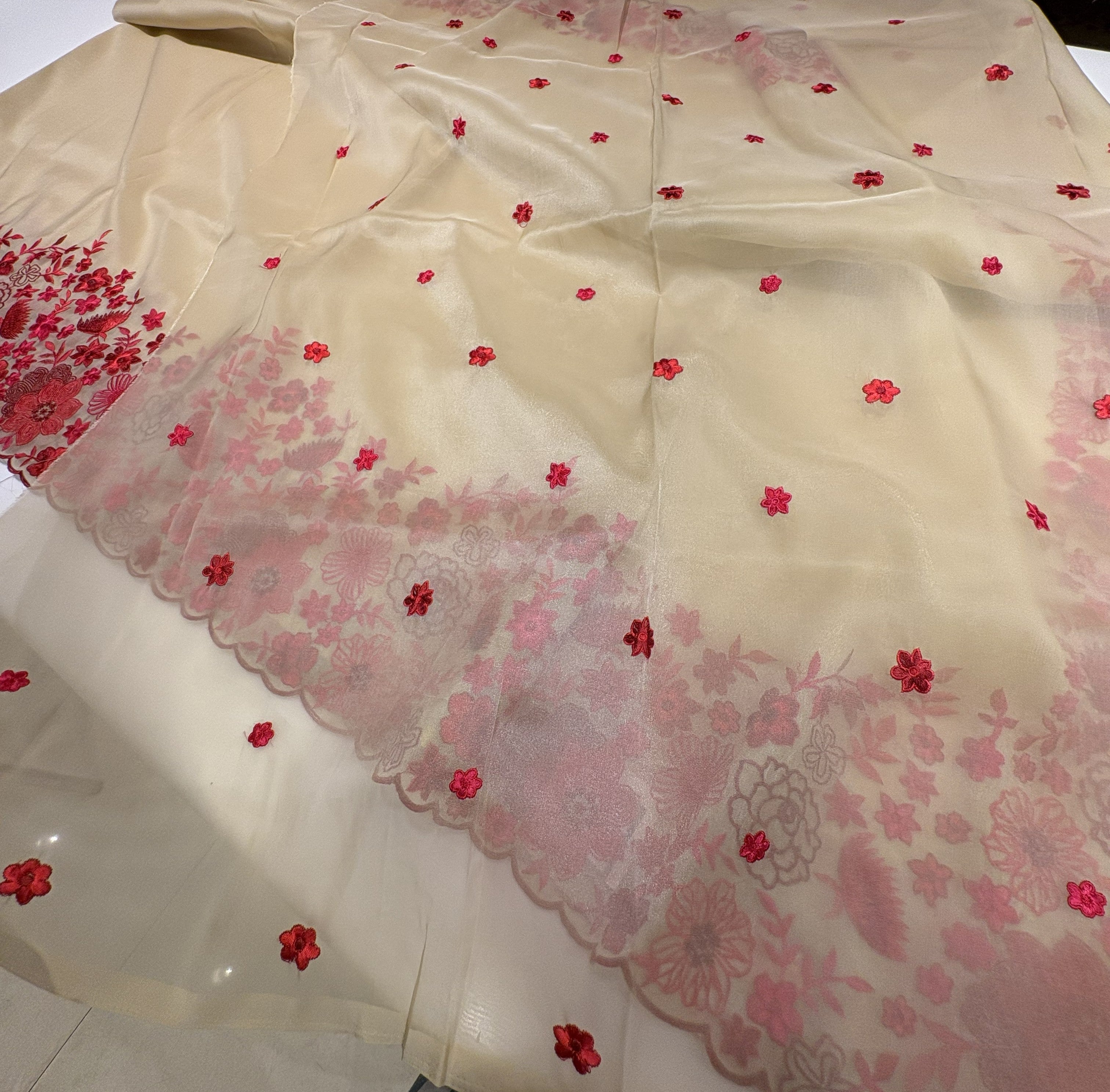 Elegant Cream Tissue Organza Saree With Fancy Red Floral Border