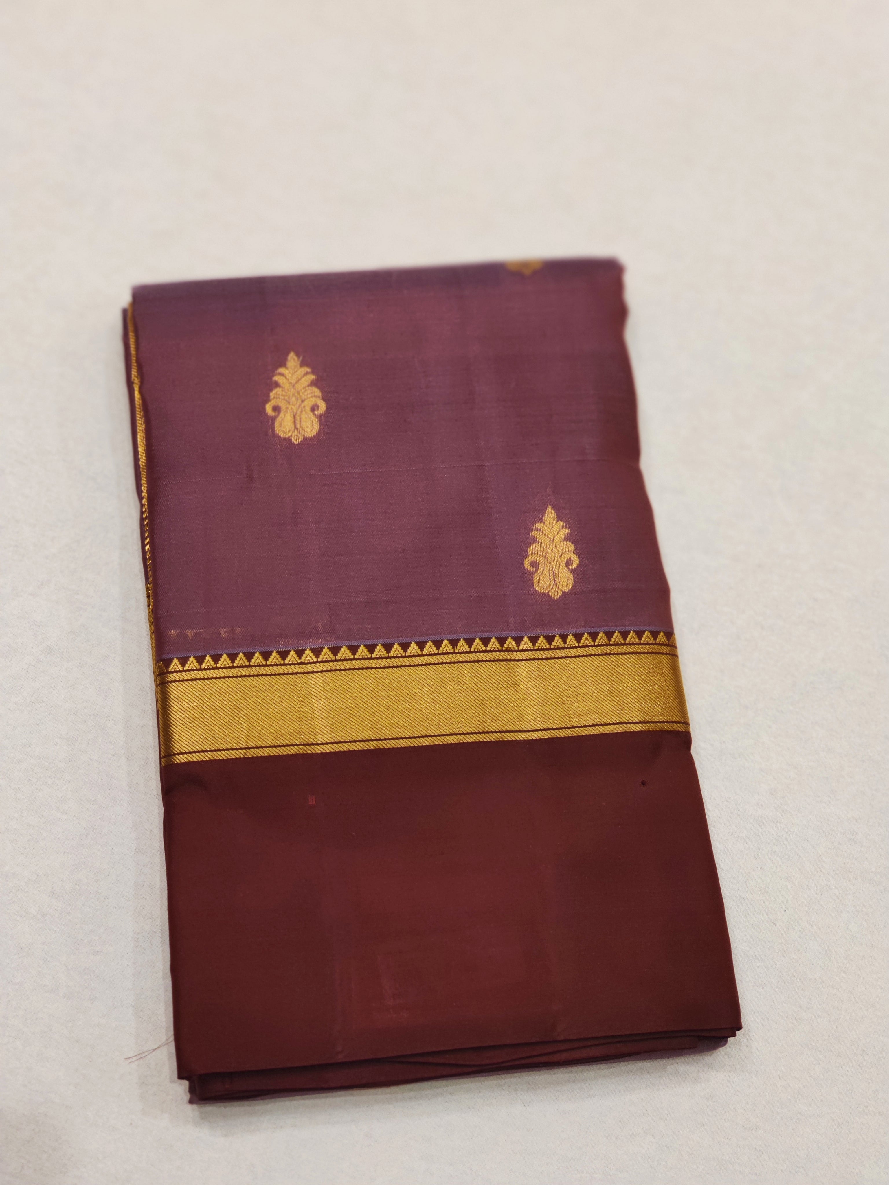 Chikoo Kanjivaram Silk Saree with Coffee Brown Border - Elegant New Arrival