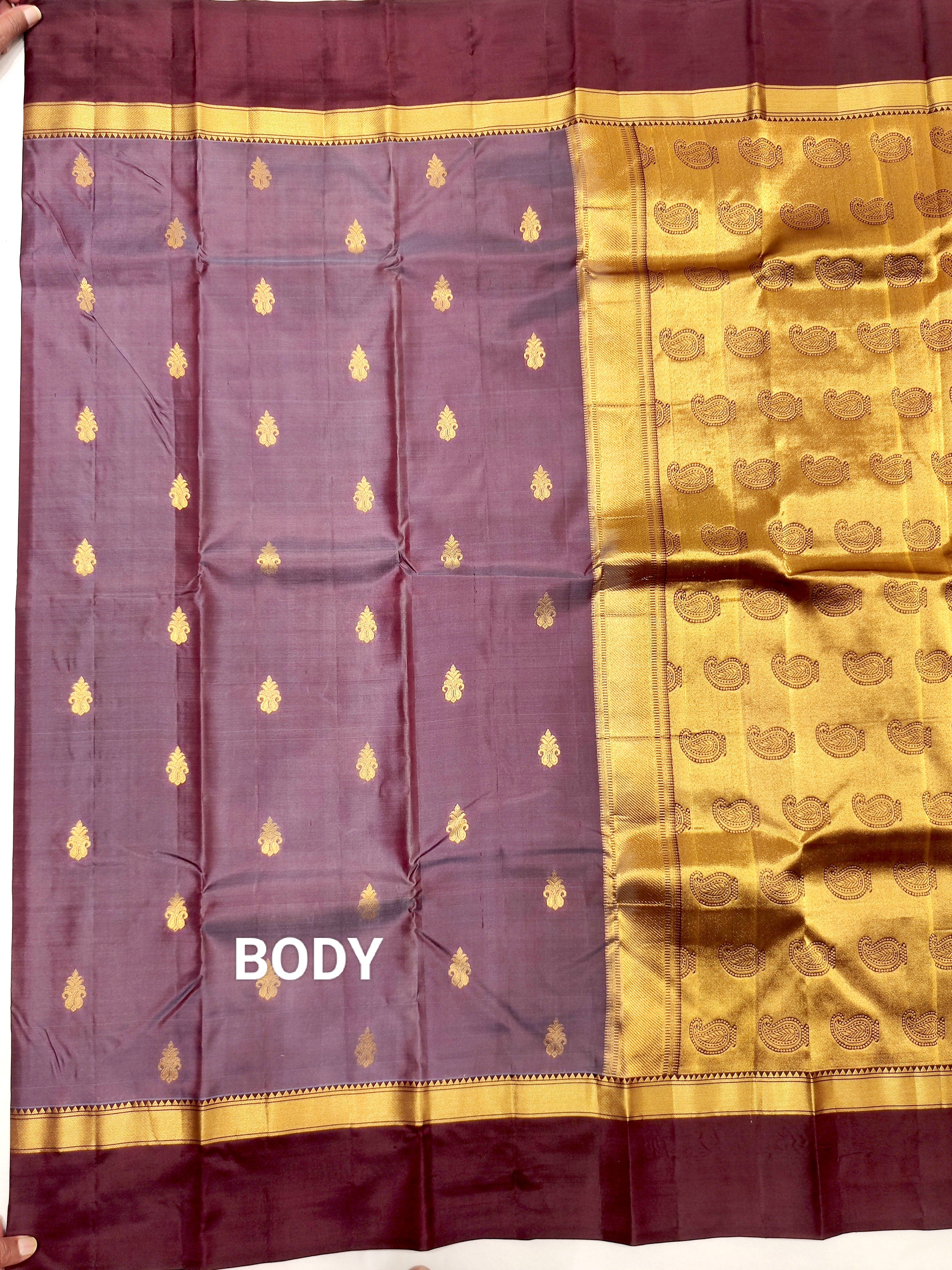 Chikoo Kanjivaram Silk Saree with Coffee Brown Border - Elegant New Arrival