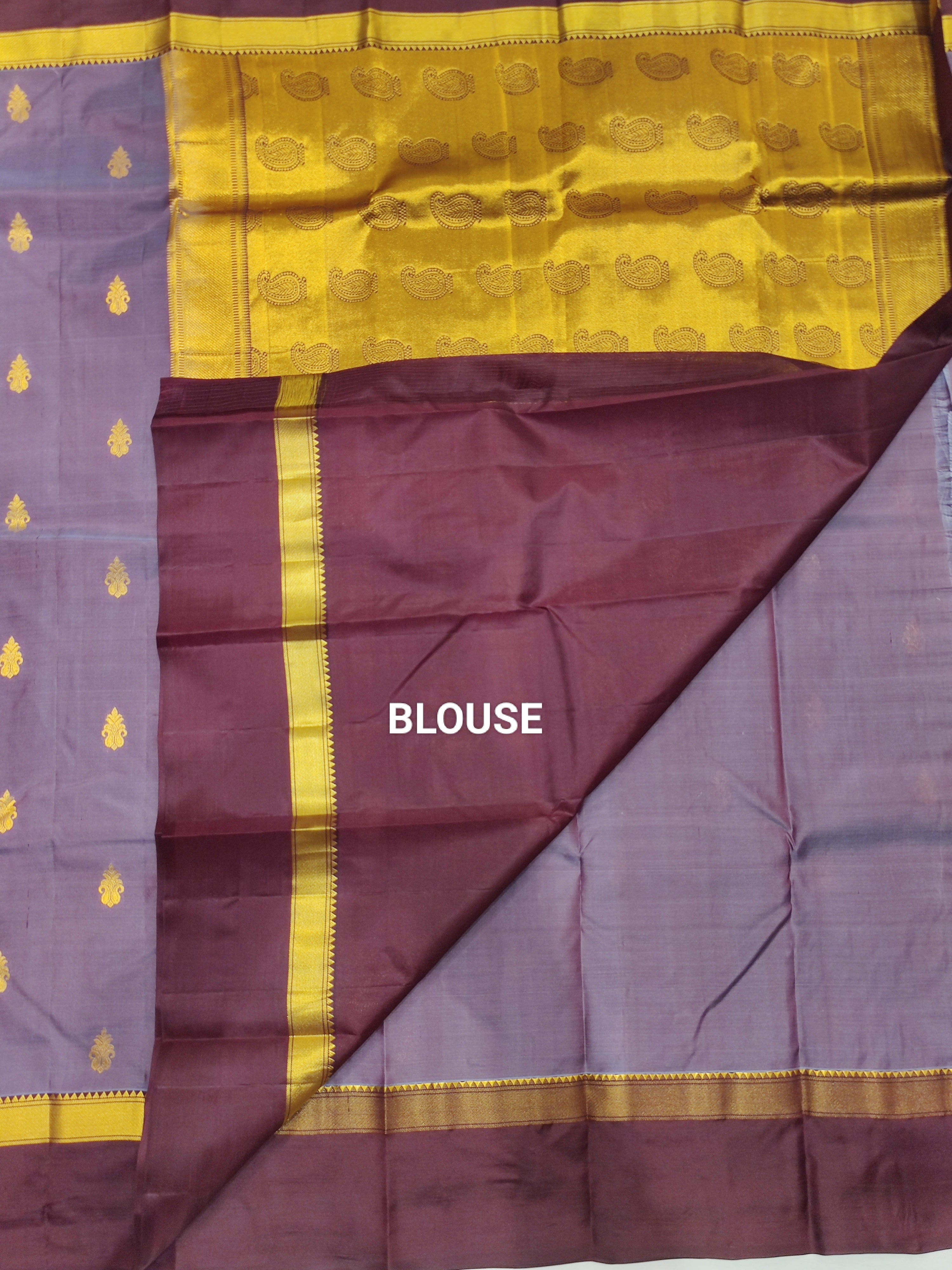 Chikoo Kanjivaram Silk Saree with Coffee Brown Border - Elegant New Arrival