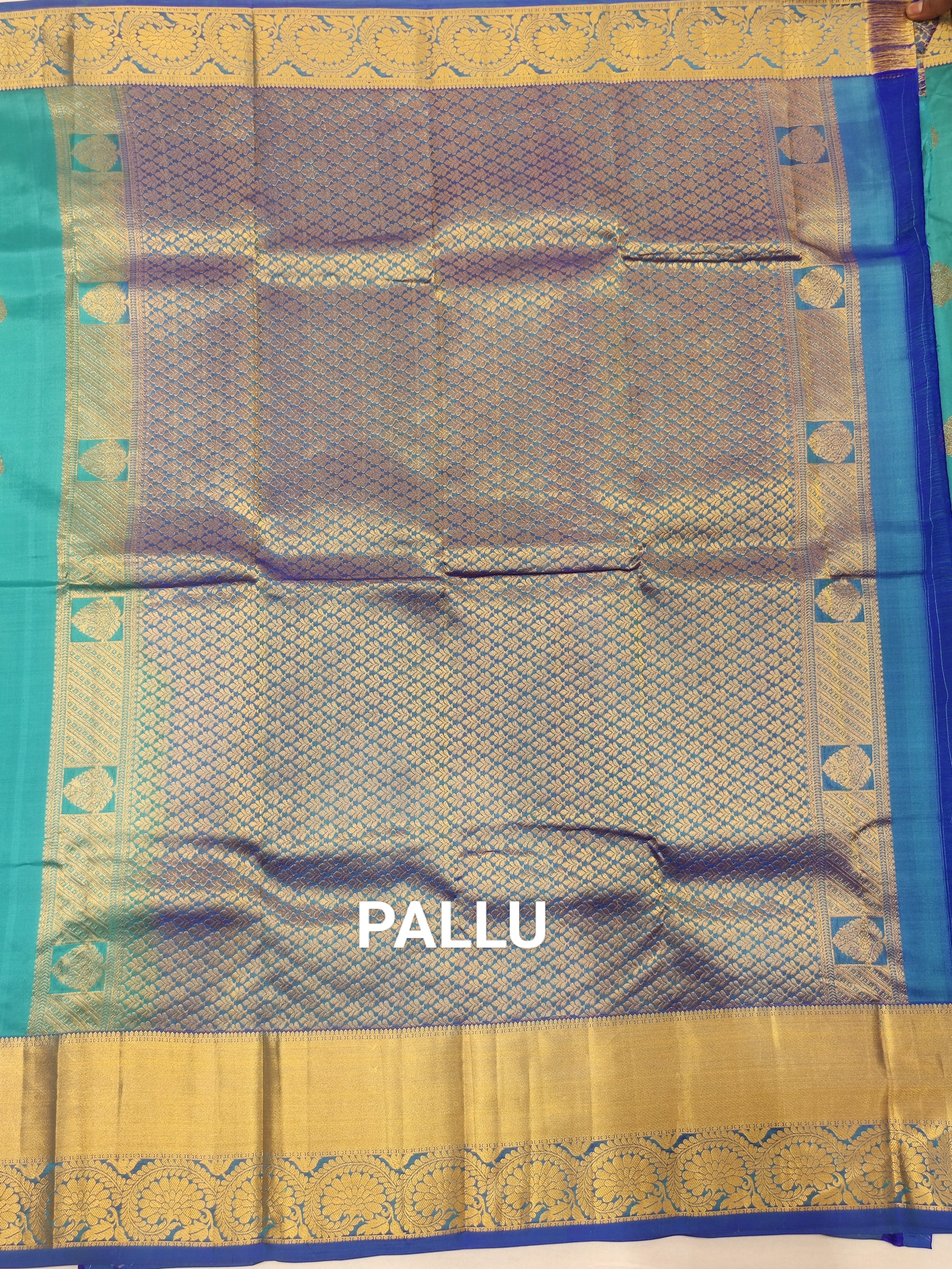 Sky Blue Kanjivaram Silk Pure Saree with Matching Blue Border - Elegant New Arrival