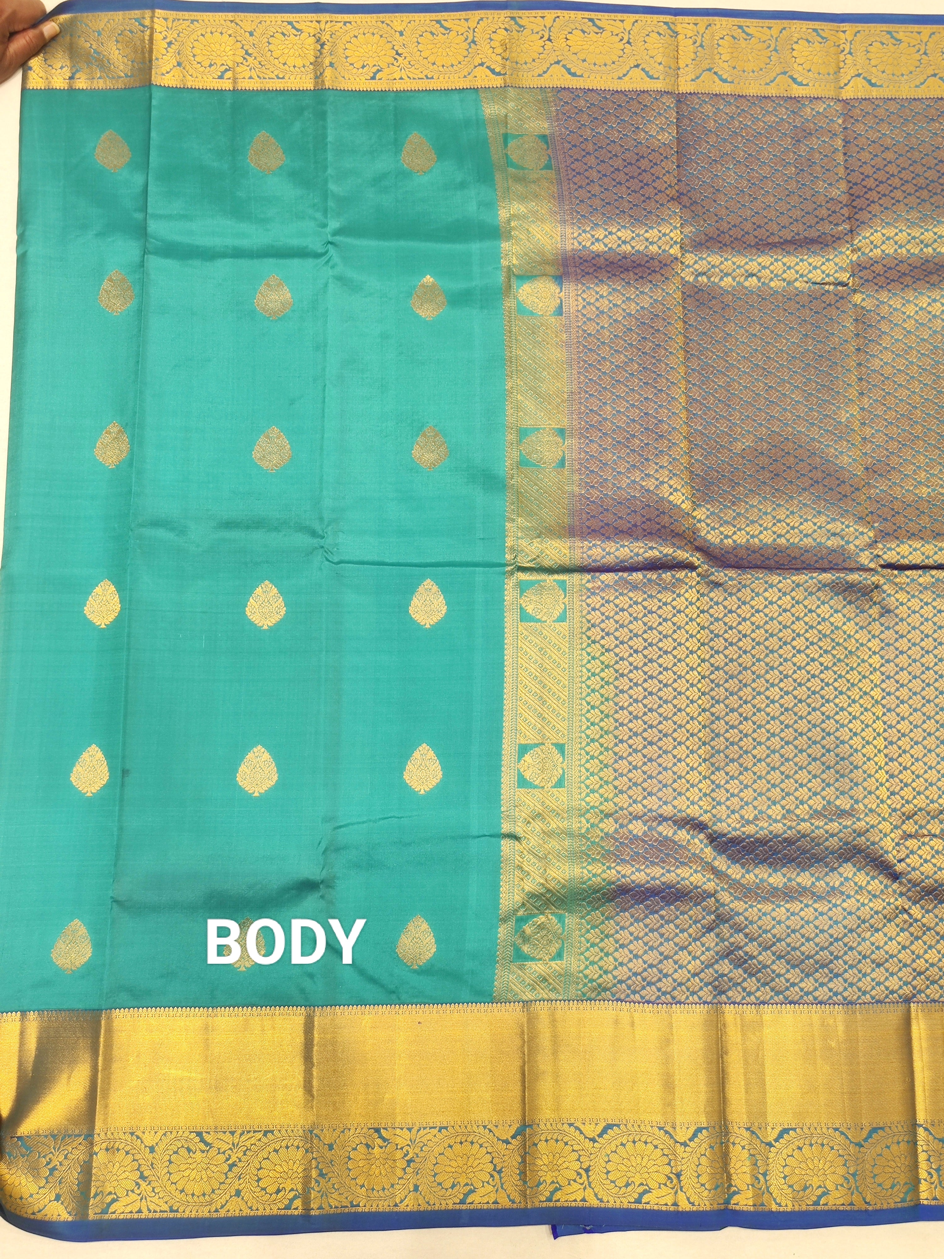 Sky Blue Kanjivaram Silk Pure Saree with Matching Blue Border - Elegant New Arrival