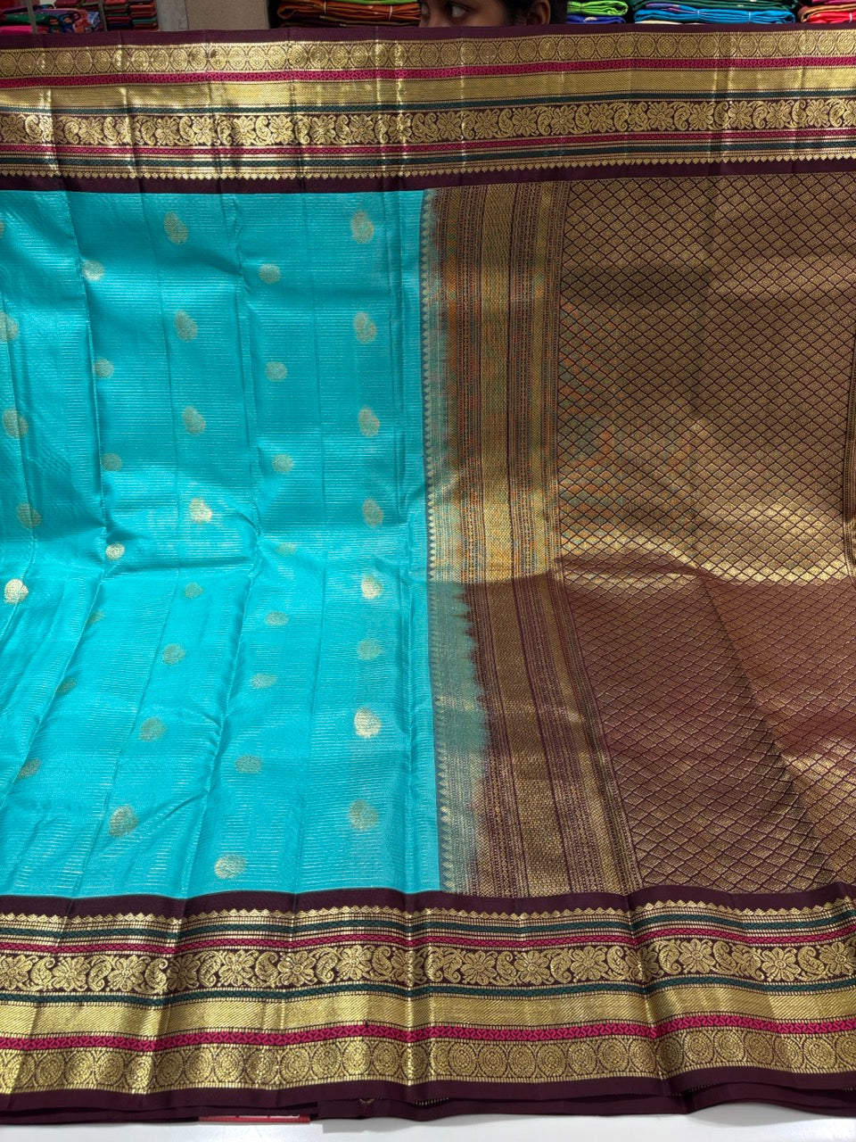 Baby Blue Colour Saree with Brown Vintage Border