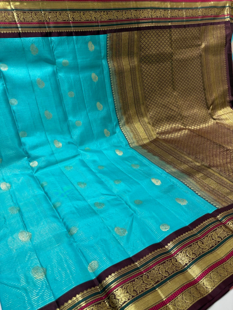 Baby Blue Colour Saree with Brown Vintage Border