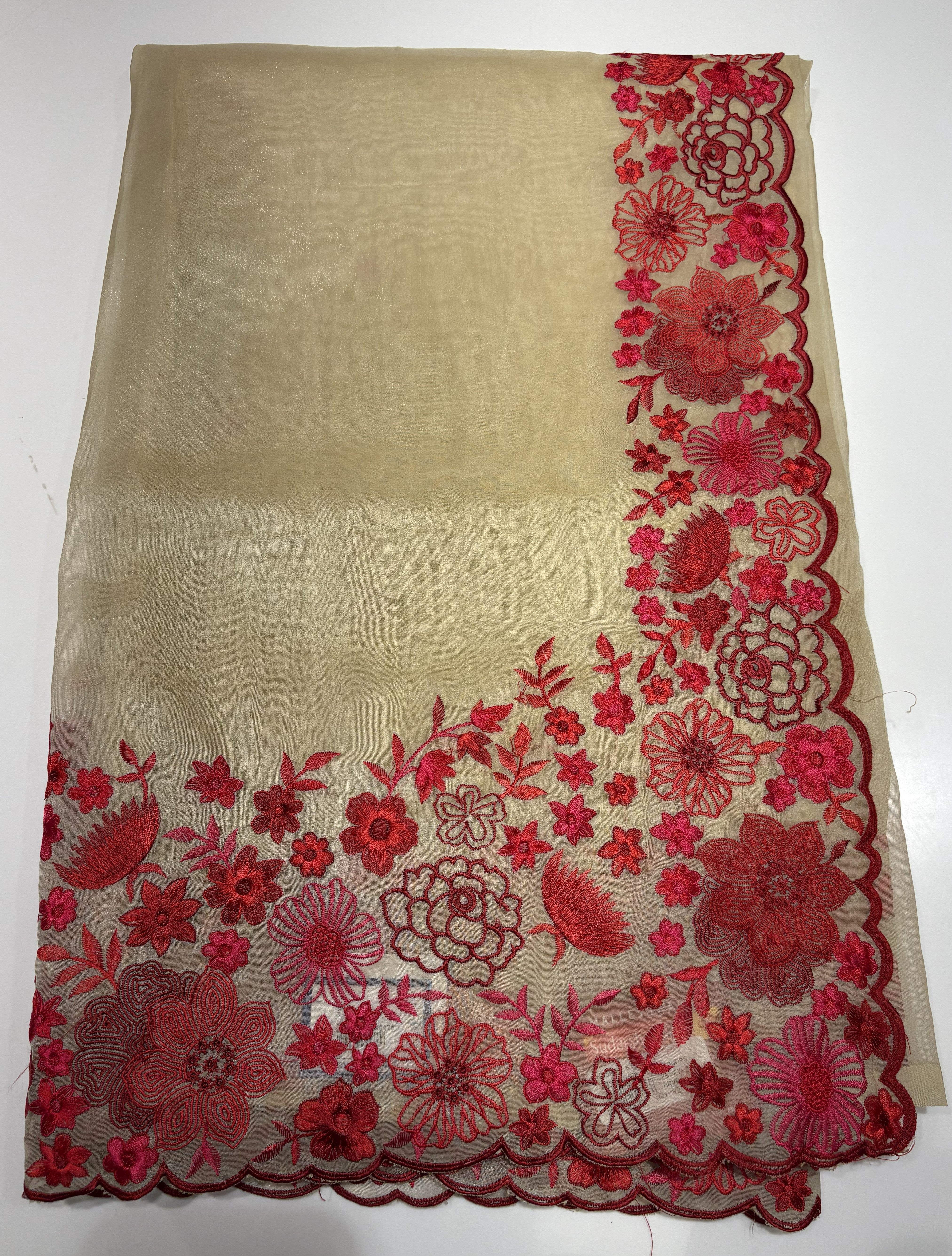 Elegant Cream Tissue Organza Saree With Fancy Red Floral Border