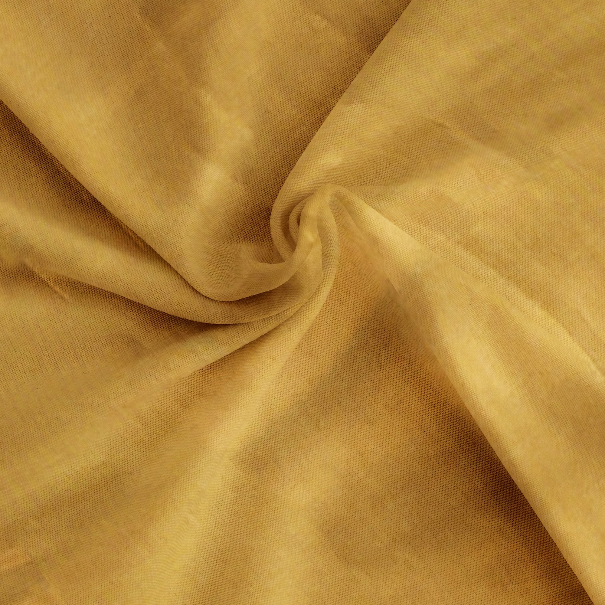 Gold Saree with Red Border – Grand Look